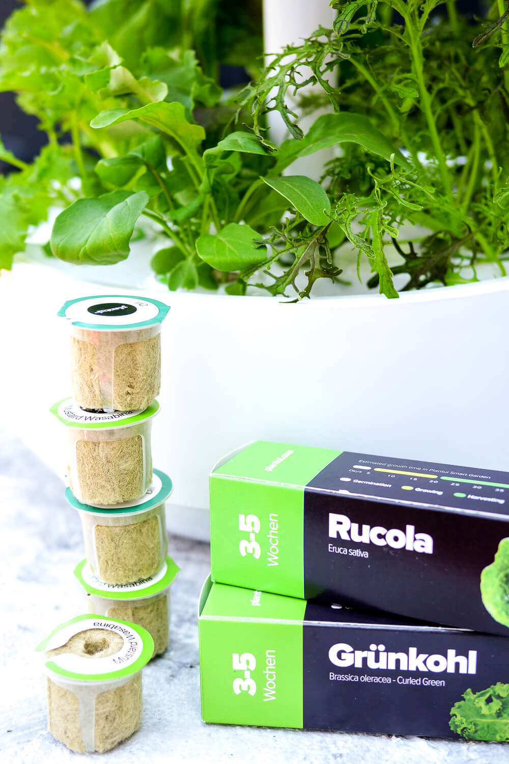 Werbung. Bosch SmartGrow - Testbericht des Indoor Gardening Systems mit Rucola, Grünkohl und braunem Senf