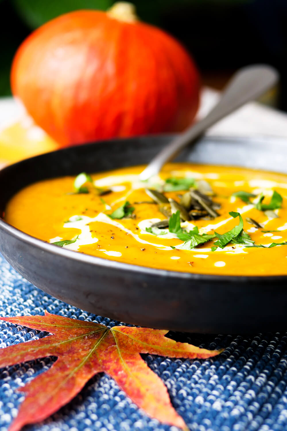 Einfache Kürbissuppe mit Curry – schnelle Suppe