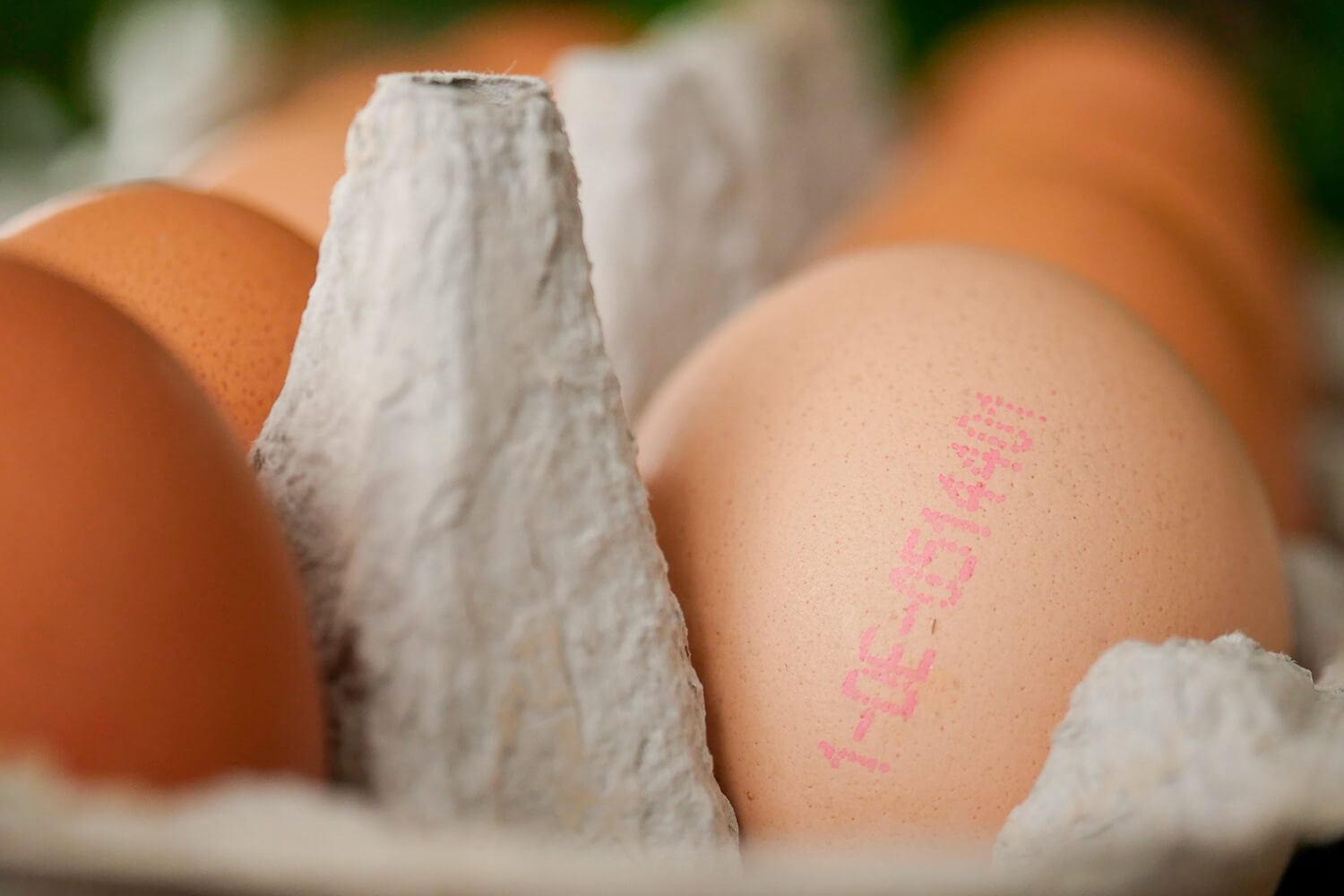 Eier im Karton zeigen Eiercode
