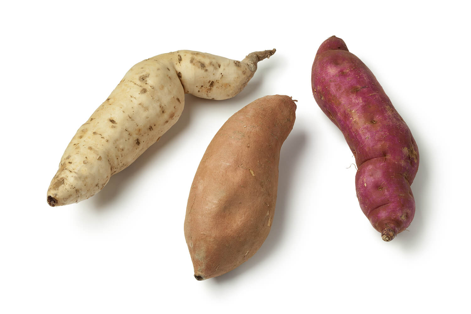 Verschiedene Süßkartoffel-Sorten