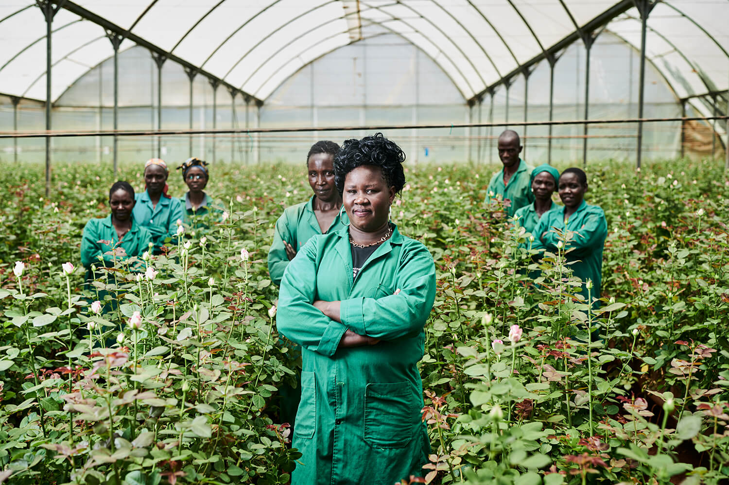 Arbeiter einer Rosenfarm in Kenia