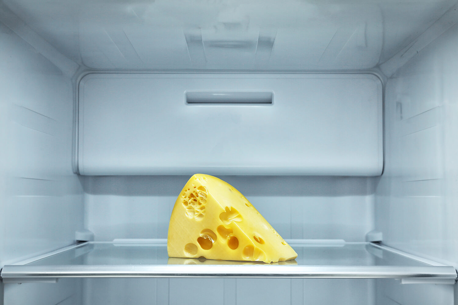 Stück Käse im Kühlschrank