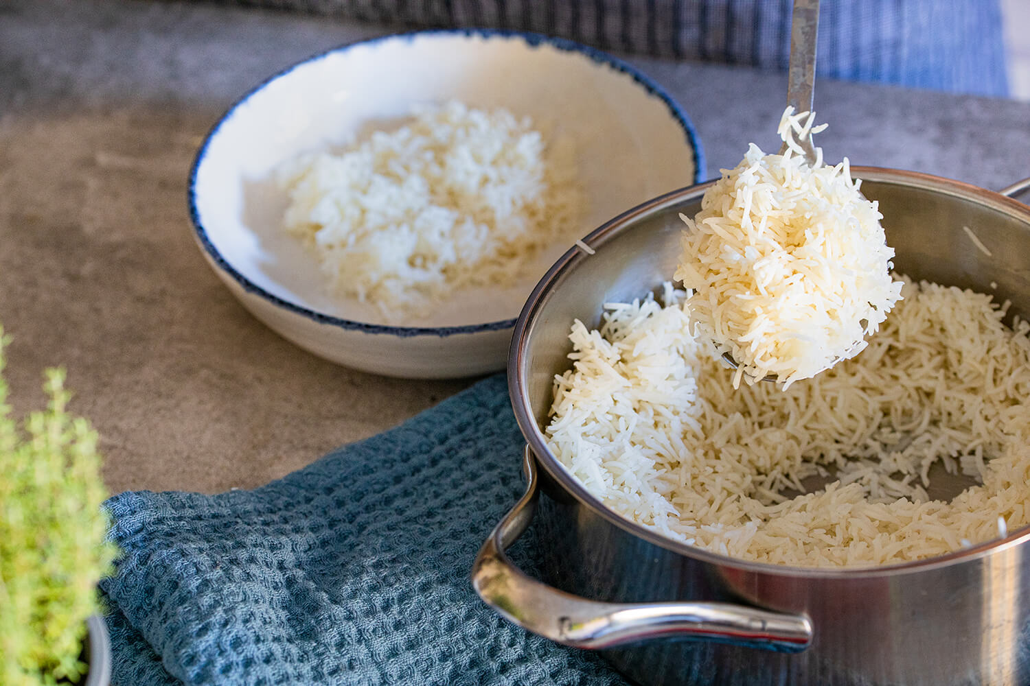 Perfekt zubereiteter Reis wird aus dem Topf geschöpft