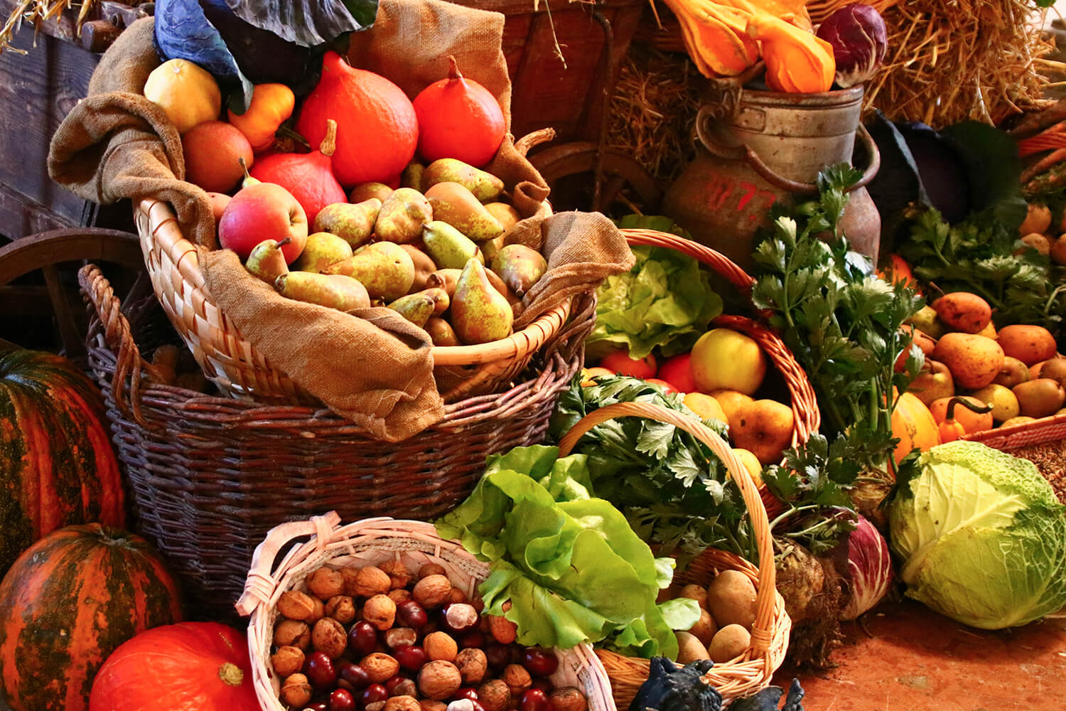 Obst und Gemüse vom Bio-Bauer